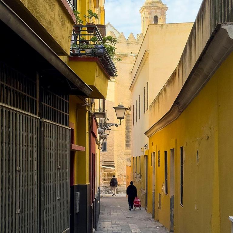 Amplio apartamento con Parking Centro Histórico - Apartamento de 3 dormitorios - 31