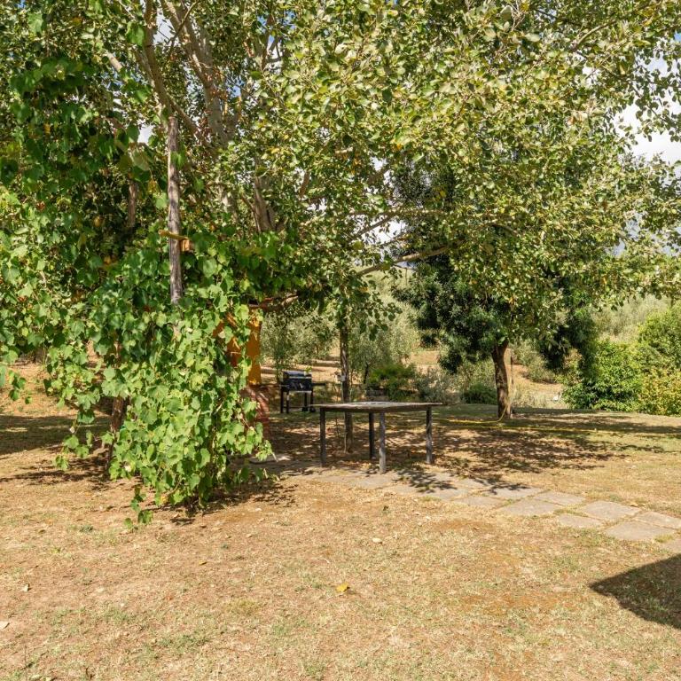 Agriturismo Dulù - Luminoso Spazio - Casa con 1 Camera da Letto - 23