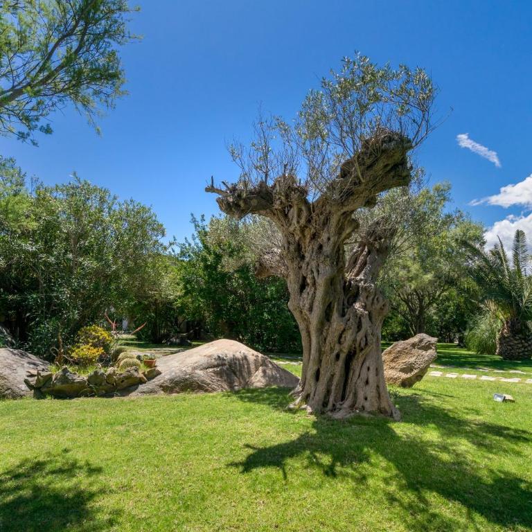 Villa Roccia - Villa con Vista Mare - 34