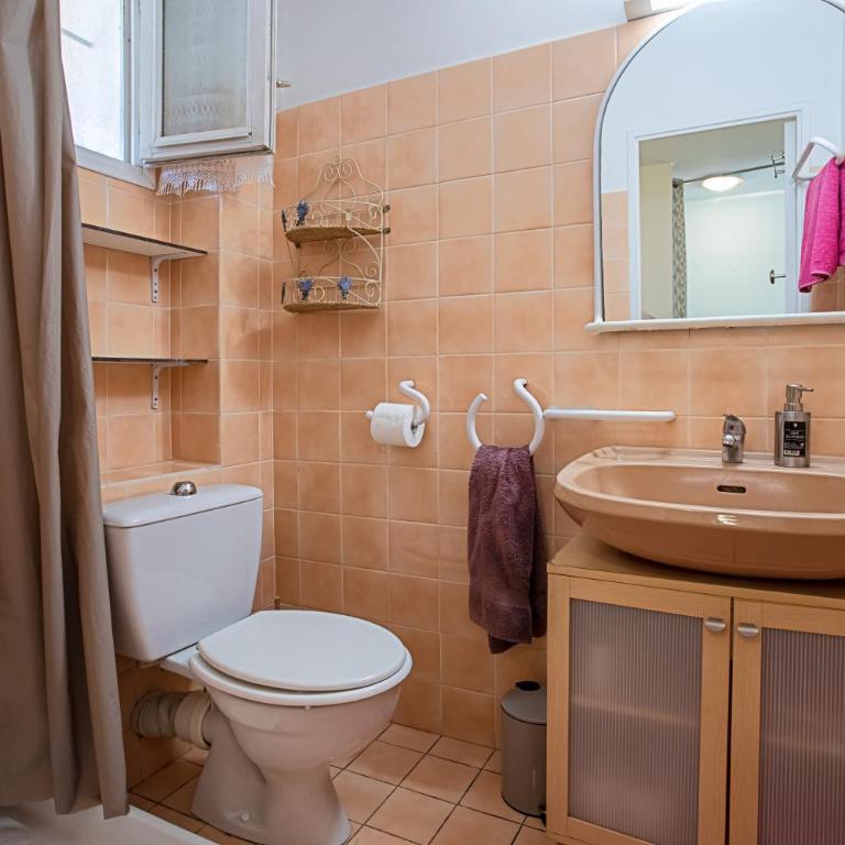 Les Tulipes - Appartement 1 Chambre - Vue sur Jardin - 13