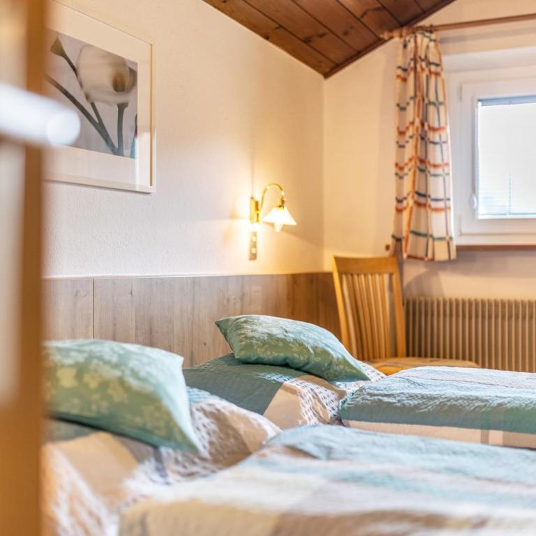 Unterhauserhof App C - Appartamento Superior con 1 Camera da Letto e Balcone - 5