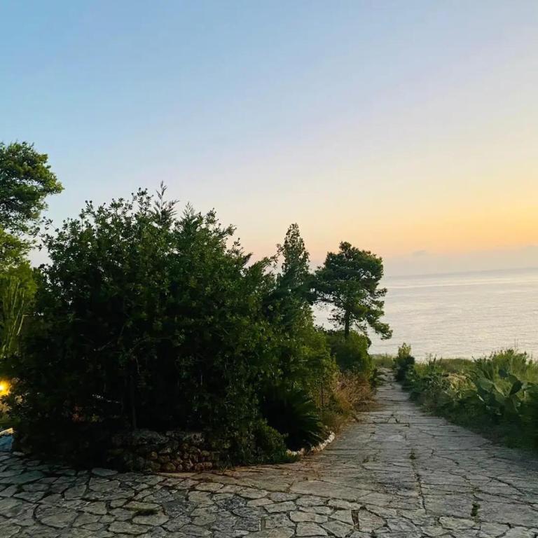 Water Front Scopello - Villa con Vista Mare - 29