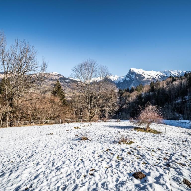 Chalet Le Mas Devant - Chalet 3 Chambres - 33