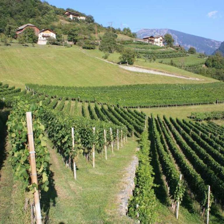 Haus Alpenblick Apt Edelweiß - Appartamento Deluxe con 2 Camere da Letto e Vista Giardino - 28