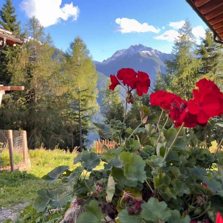 Chalet Larchrast new opening - Chalet mit 2 Schlafzimmern - 21