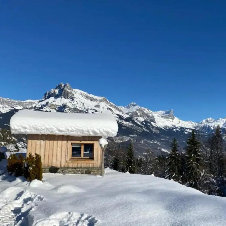 Petit Chalet Cosy - Chalet 1 Chambre - 2