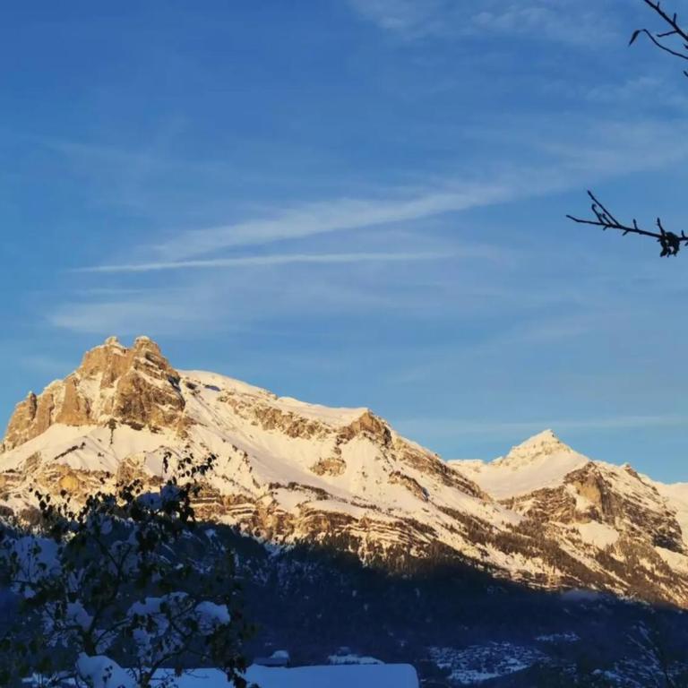 Petit Chalet Cosy - Chalet 1 Chambre - 24