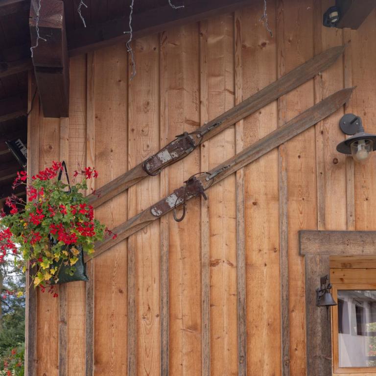 Petit Chalet Cosy - Chalet 1 Chambre - 19