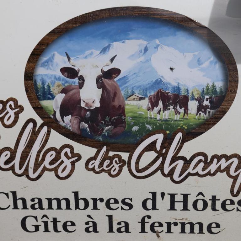 Petit Chalet Cosy - Chalet 1 Chambre - 18