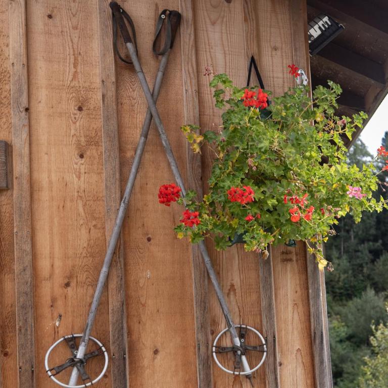 Petit Chalet Cosy - Chalet 1 Chambre - 16