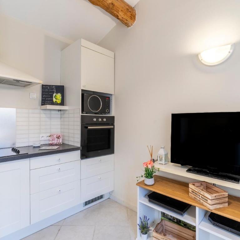 Appartement agréable en Provence - Appartement 1 Chambre - Vue sur Jardin - 9