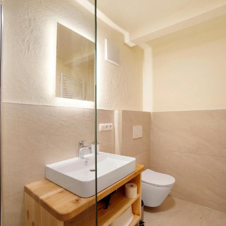 Hauserhof - Appartamento Deluxe con 2 Camere da Letto e Vista Giardino - 18