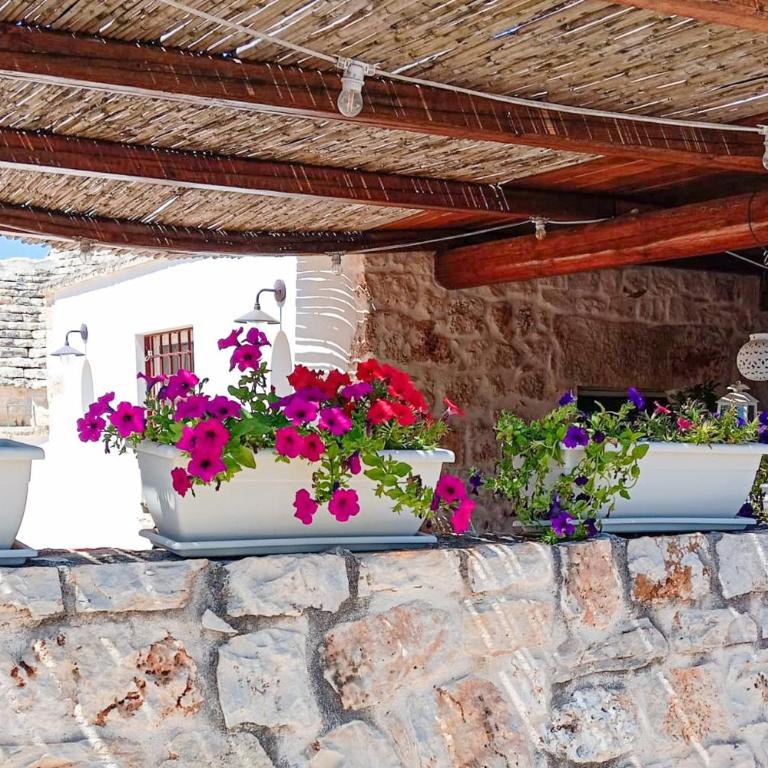 Trullo di Serena - Casa con 2 Camere da Letto - 23