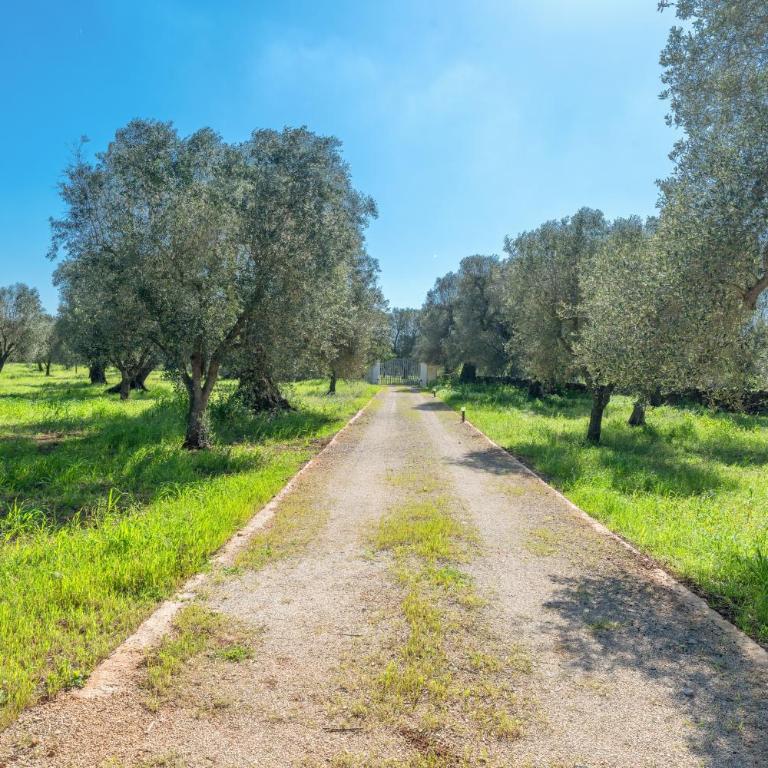 Trullo di Serena - Casa con 2 Camere da Letto - 27