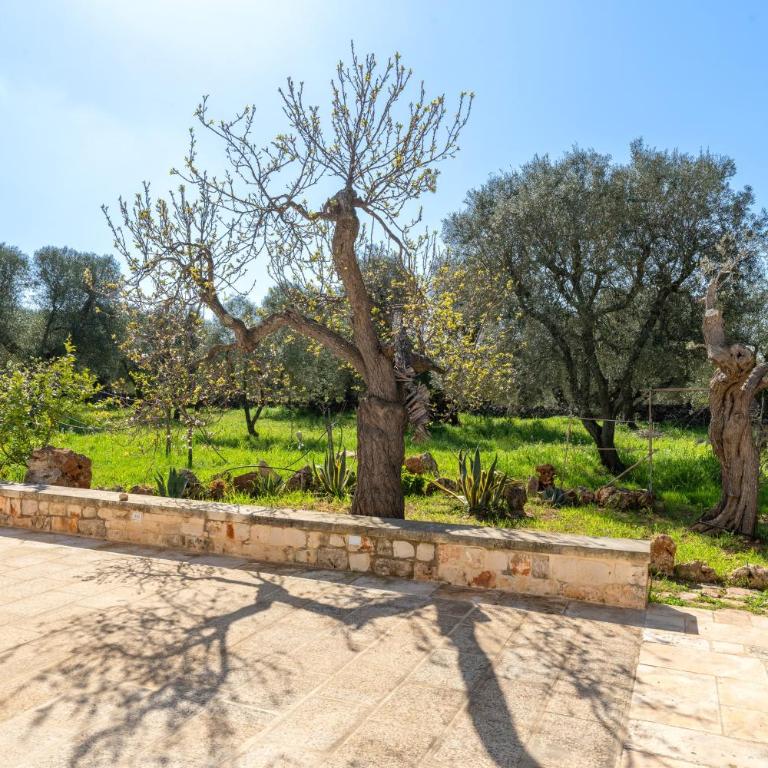 Trullo di Serena - Casa con 2 Camere da Letto - 24