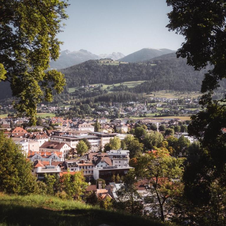 Avia Living Anna - Monolocale con Vista Montagna - 20