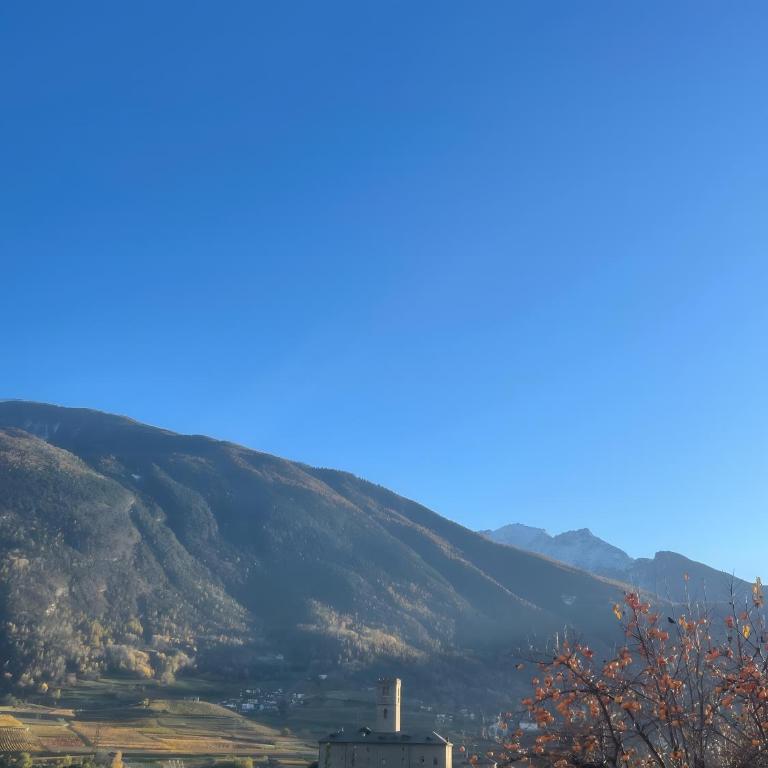 Casa D'Agostino - Appartamento Superior con 1 Camera da Letto e Balcone - 15