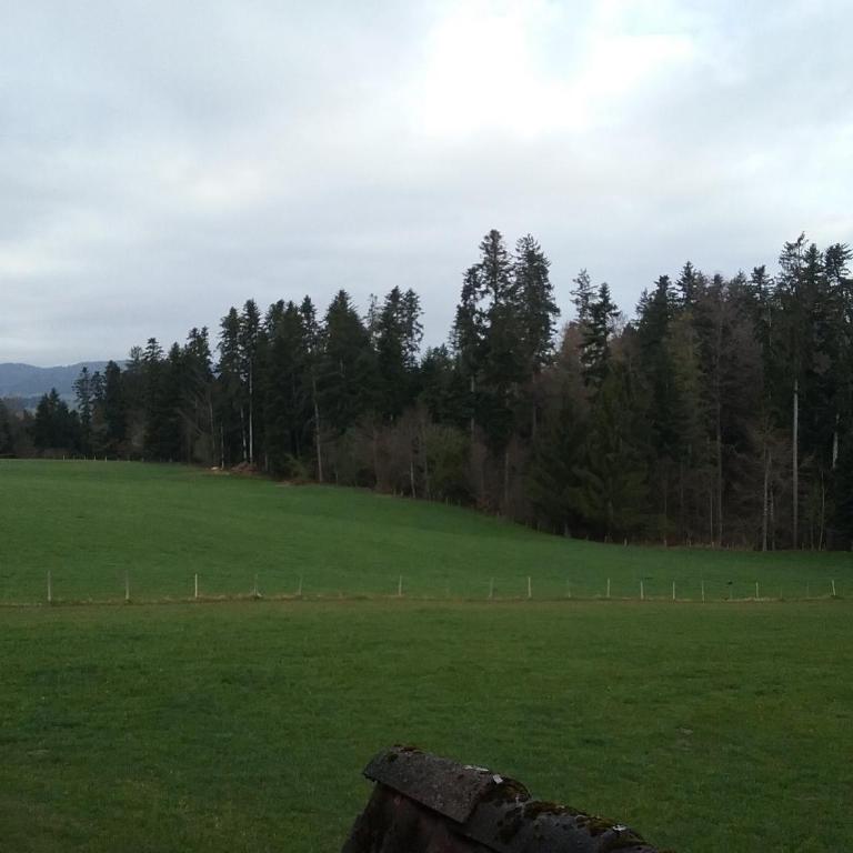 Haus Biggi - Ferienwohnung Hochgrat - Apartment mit 1 Schlafzimmer und Gartenblick - 11