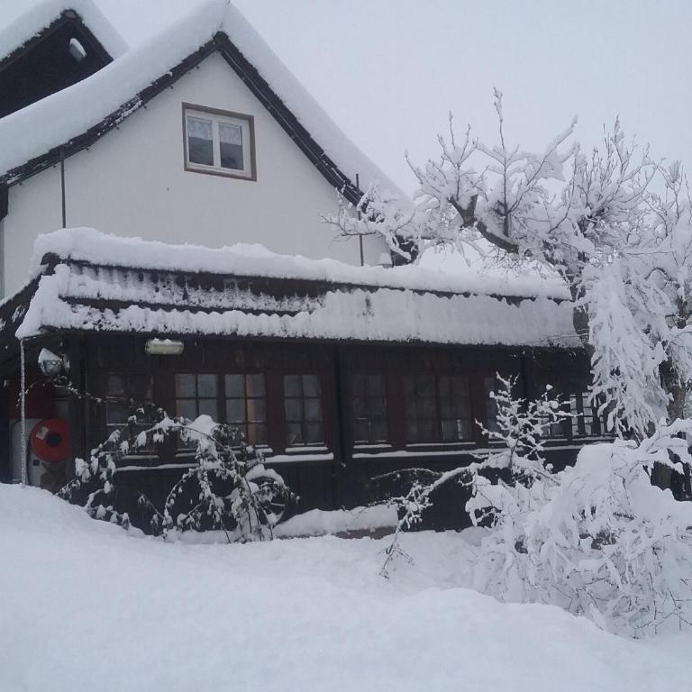 Haus Biggi - Ferienwohnung Hochgrat - Apartment mit 1 Schlafzimmer und Gartenblick - 14
