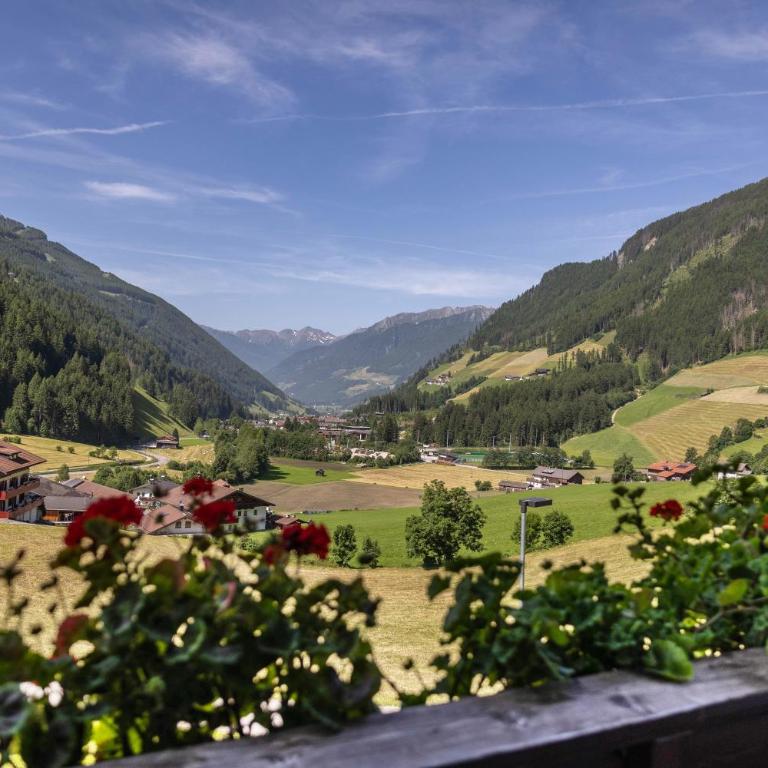 Unterlacherhof Ahrntal - Apartamento Superior de 1 dormitorio con balcón - 3