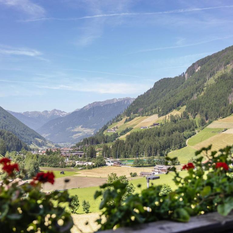 Unterlacherhof Ahrntal - Apartamento Superior de 1 dormitorio con balcón - 6