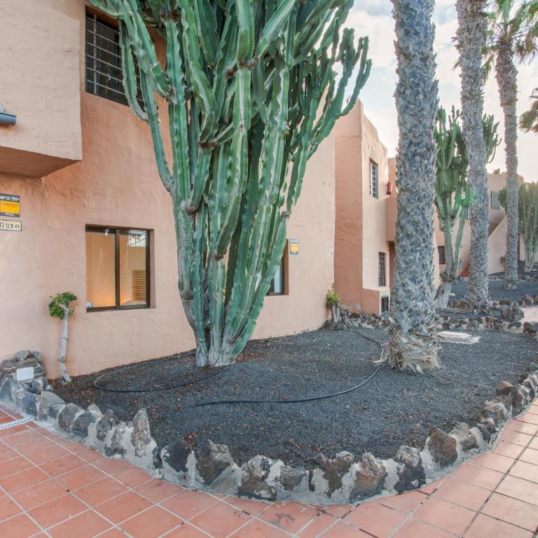 Oasis Duna Casa Maho - Apartamento Superior de 1 dormitorio con balcón - 20