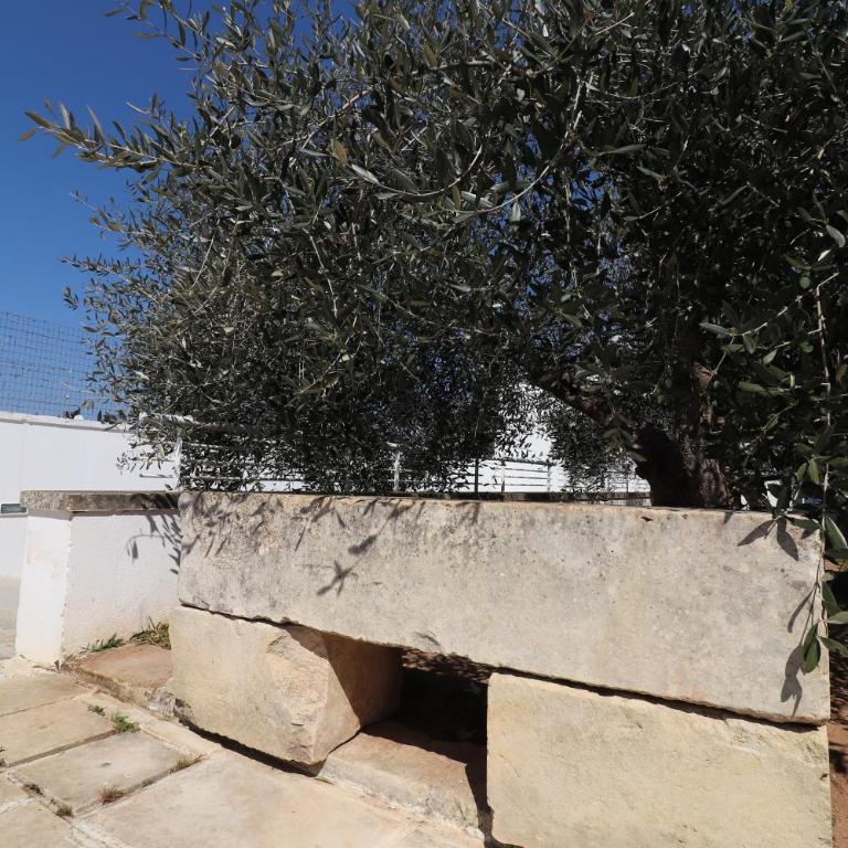 Casa Vacanza Lu Ientu - Superior One-Bedroom Apartment with Balcony - 40
