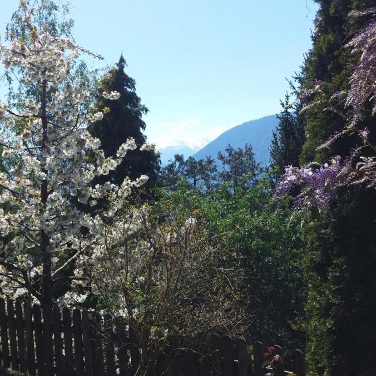 Hahnenkamm Rainegg - Appartamento Superior con 1 Camera da Letto e Balcone - 22