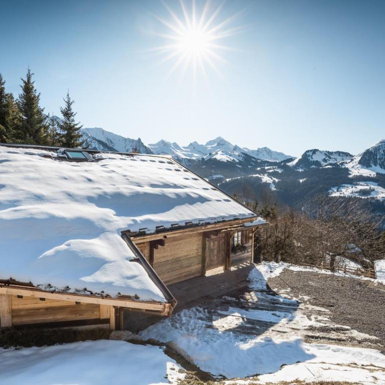 Chalet Karavi - Chalet - 1