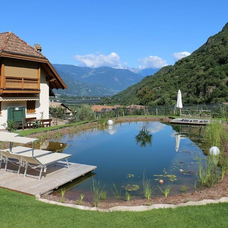 Rosengartnerhof Apt Vorberg - Monolocale con Vista Montagna - 7