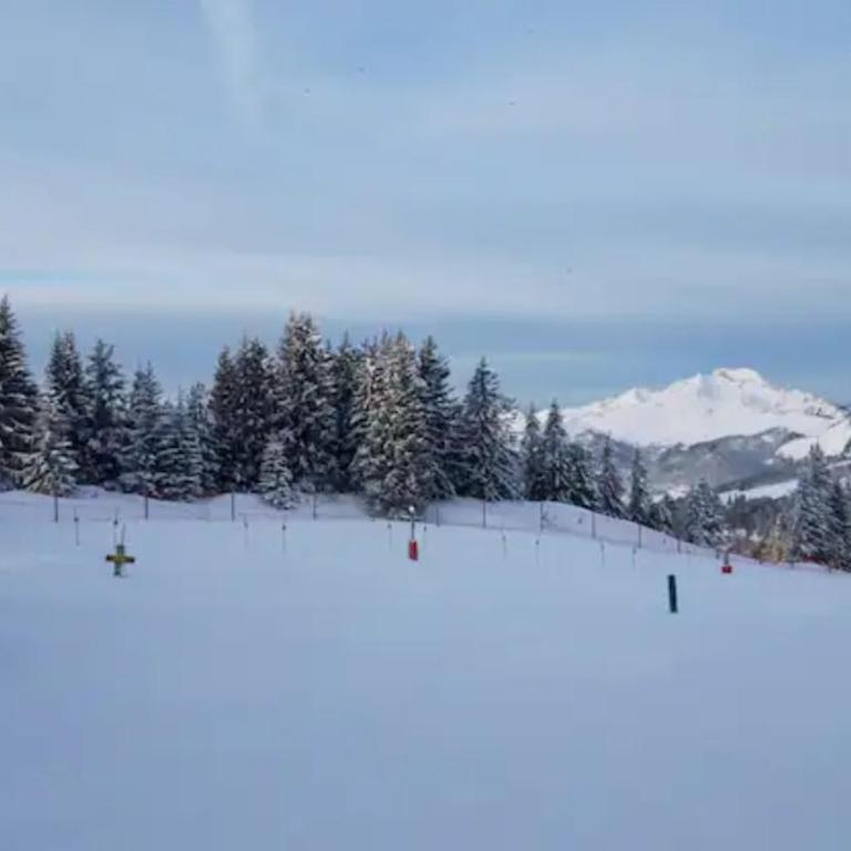 Appartement Tilia - Avoriaz - Appartement 1 Chambre Supérieur avec Balcon - 18