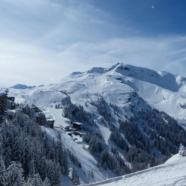 Appartement Tilia - Avoriaz - Appartement 1 Chambre Supérieur avec Balcon - 12