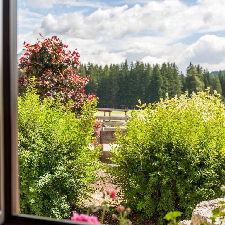 Anni - Apartment mit 1 Schlafzimmer und Gartenblick - 14