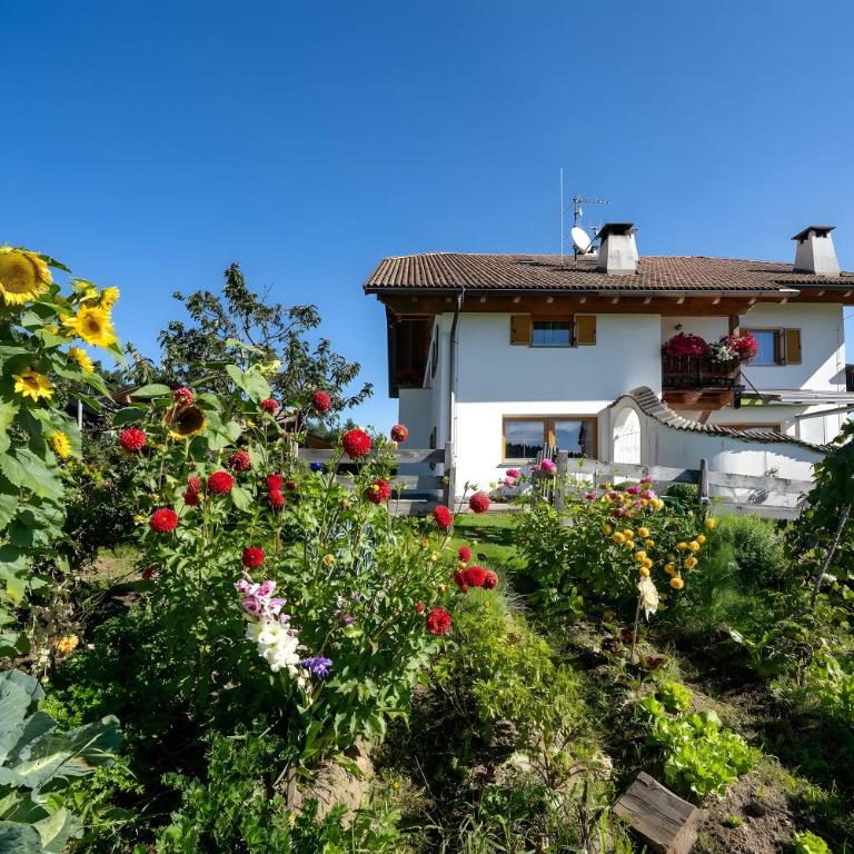 Wohnung Arnika Stücklhof - Appartamento Superior con 1 Camera da Letto e Balcone - 23