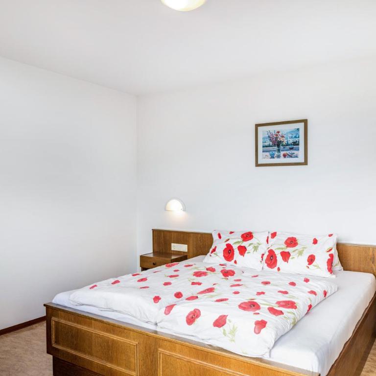 Pension Heidelberg - Standard Zimmer mit Queensize-Bett - 3