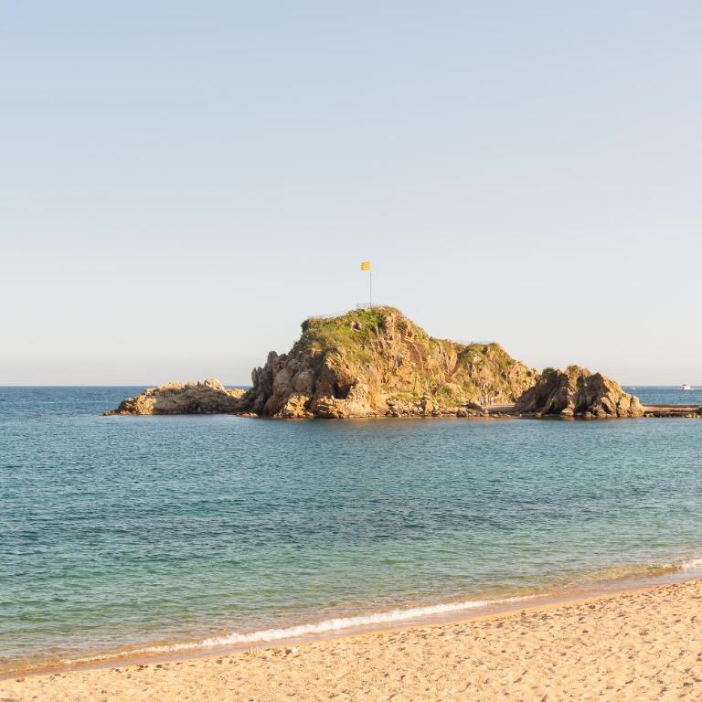 Penthouse With Private Roof Terrace - Apartamento Estudio con vistas al mar - 23