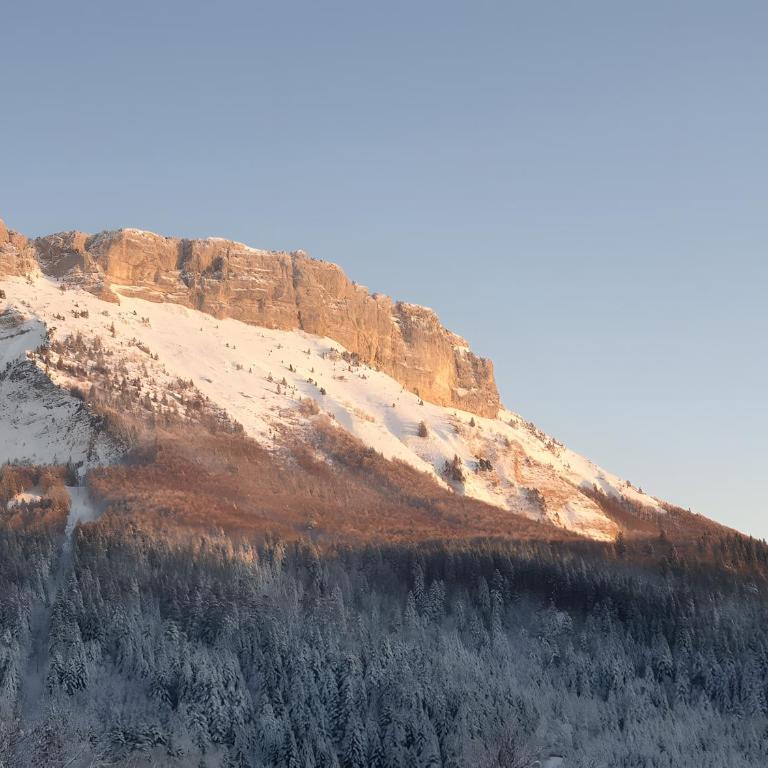 Gite Jeantiane Les Alpes Fleuries - Apartment mit Terrasse - 42