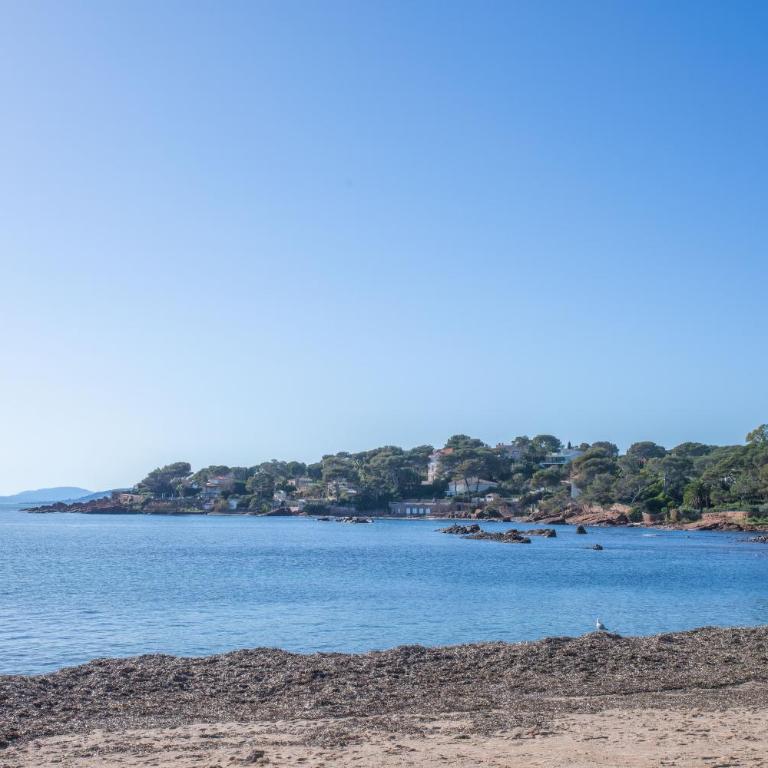 Appartement à Saint-Raphael - Superior One-Bedroom Apartment with Balcony - 22