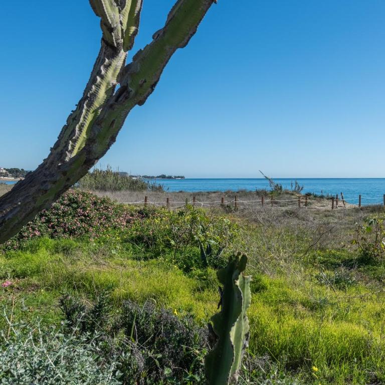 Apartamento de lujo a 30m playa - Two-Bedroom Deluxe Apartment with Ocean View - 32