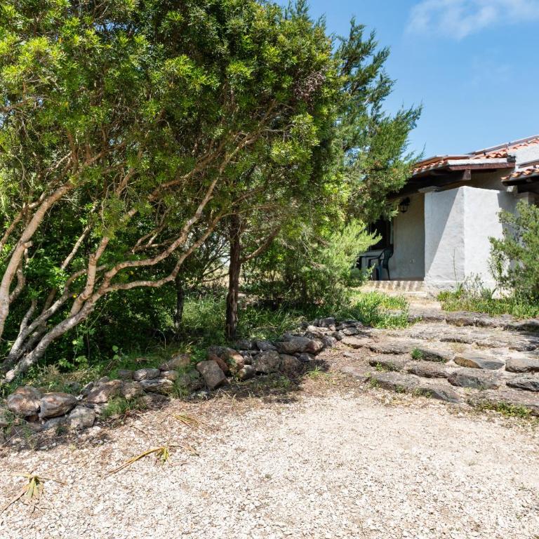 Su Birde Agriturismo - Appartamento con 1 Camera da Letto e Vista Giardino - 14