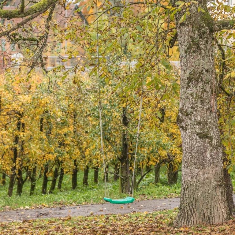 Obstgarten - Appartamento con 1 Camera da Letto e con Giardino - 21