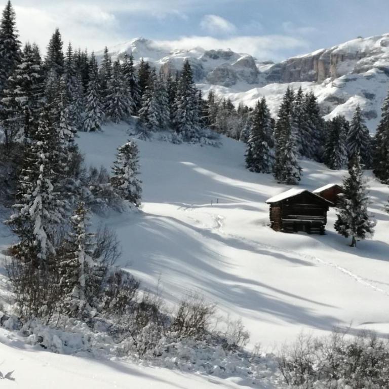 App Lisüra Boè - Apartment mit 1 Schlafzimmer und Gartenblick - 25