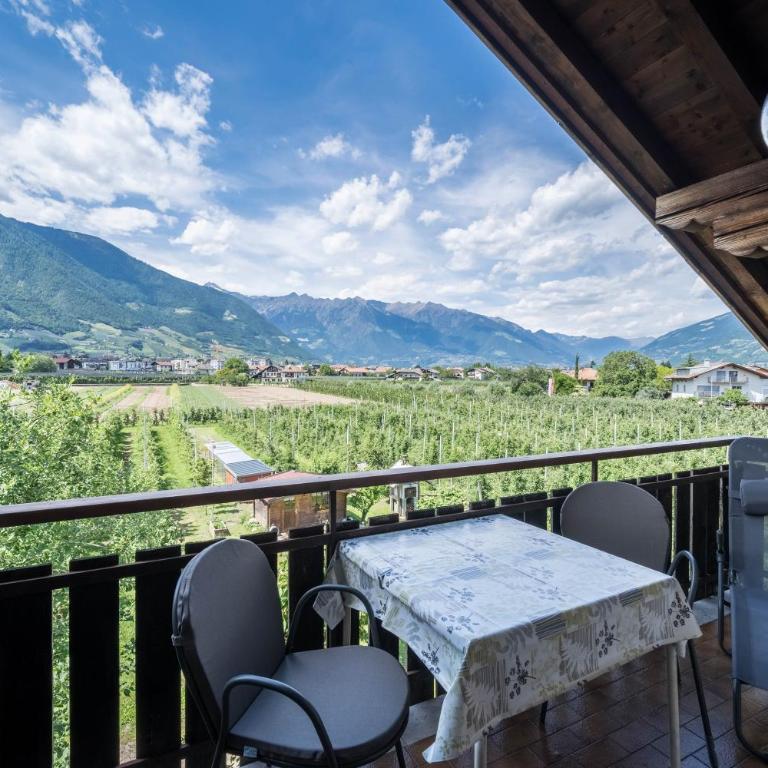 Apartment Tschigat Leilichhof - Appartamento Superior con 1 Camera da Letto e Balcone - 6
