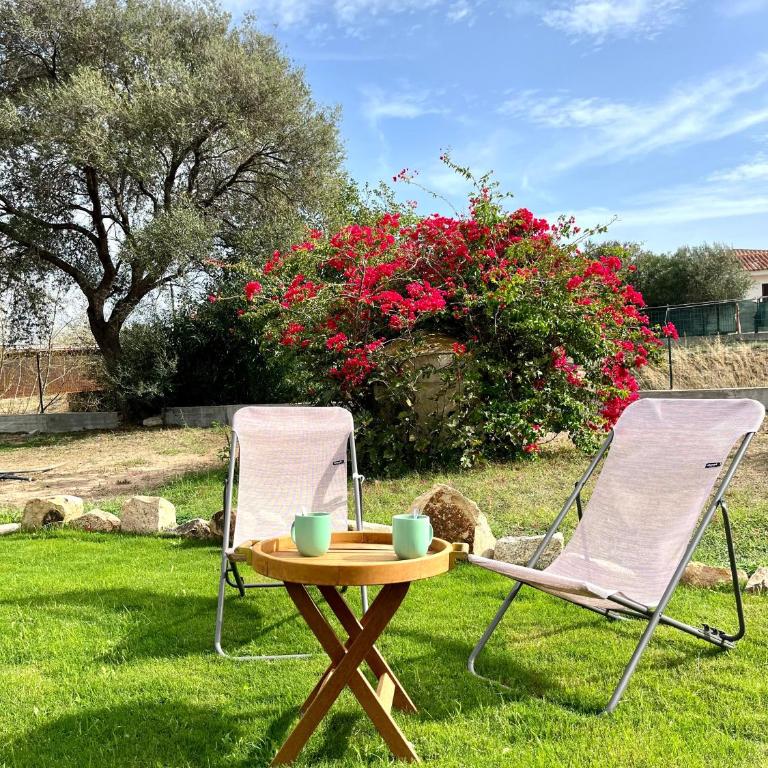 Villa Alzoni - Villa con Vista Giardino - 15