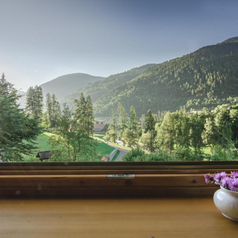 Maso Noce Est - Appartamento con 2 Camere da Letto e con Vista Montagna - 22
