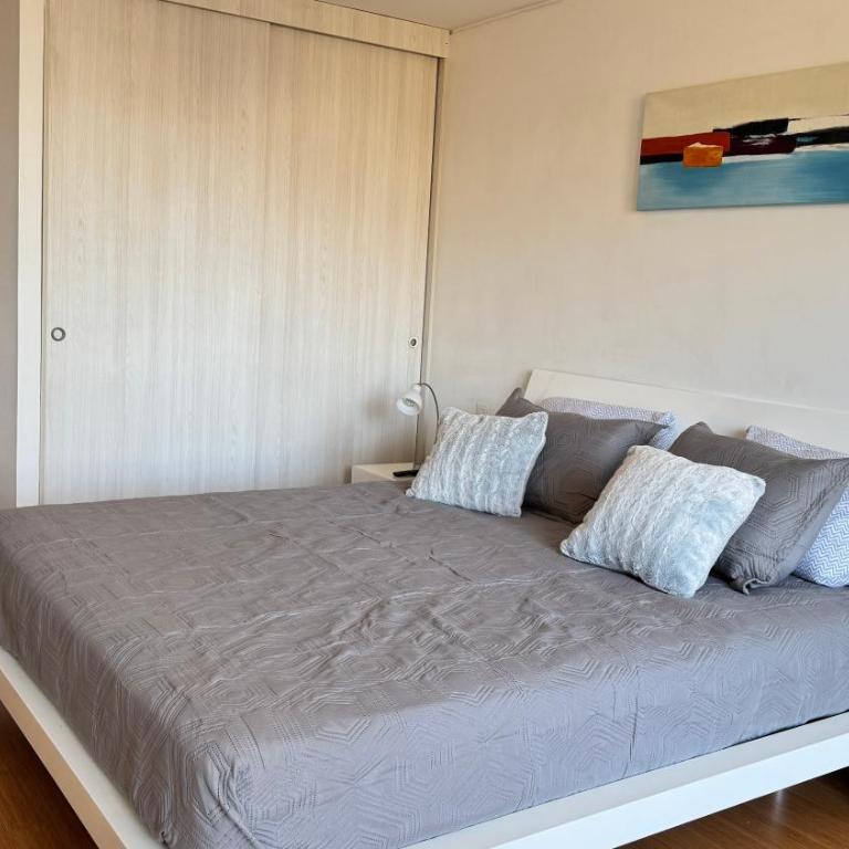 Providencia Bohemio y conectado al Gran Santiago - One-Bedroom Apartment - 79