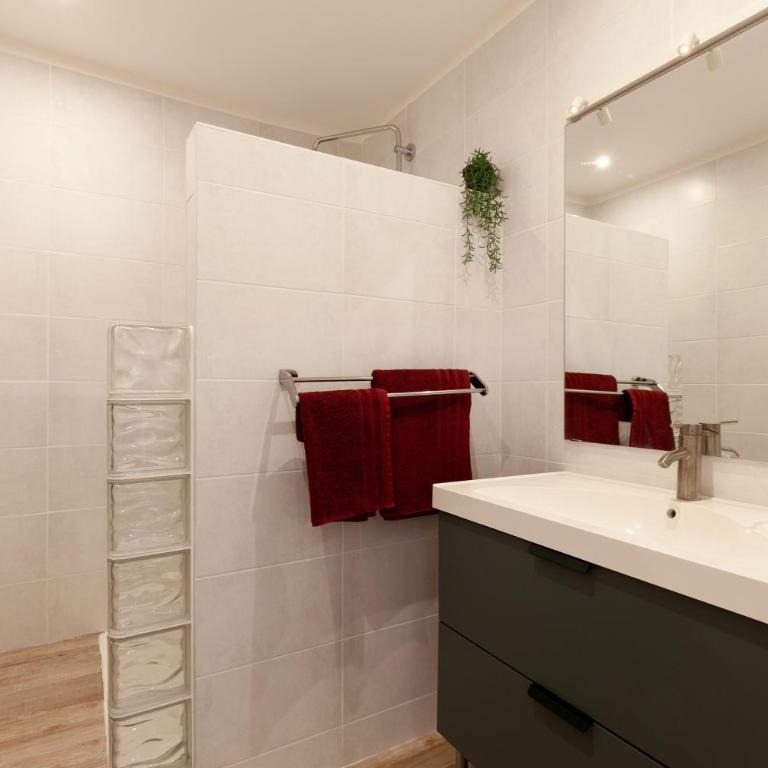 Joli appart dans les Rues Piétonnes - Superior One-Bedroom Apartment with Balcony - 14