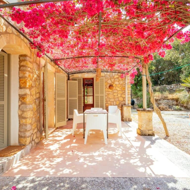 Can Xisco - Villa - 51