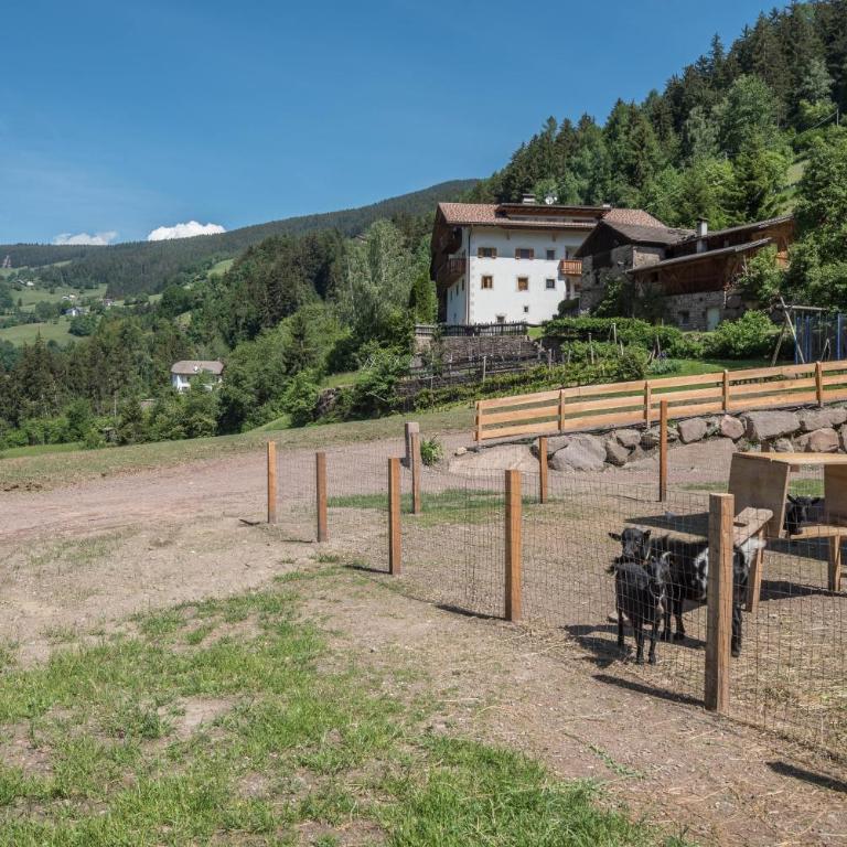App Sonnenblume Biohof Unterspisser - Apartamento Deluxe de 2 dormitorios con vistas al jardín - 25
