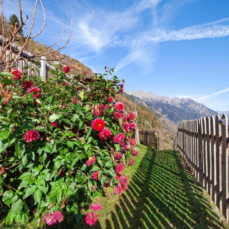 Wohnung Naturns Ausergrubhof - Deluxe Apartment mit Balkon und 2 Schlafzimmern - 25